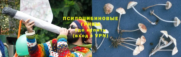 мдпв Мегион