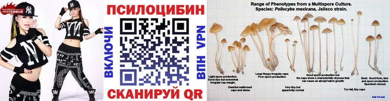 Галлюциногенные грибы Psilocybine cubensis  мориарти состав  Чегем 
