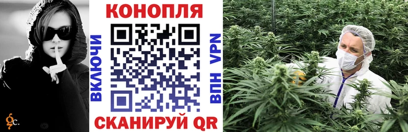 Шишки марихуана план Чегем